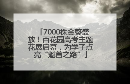 7000株金葵盛放！百花园高考主题花展启幕，为学子点亮“魁首之路”