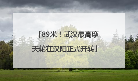 89米！武汉最高摩天轮在汉阳正式开转