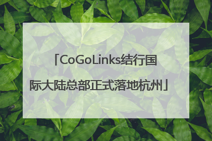 CoGoLinks结行国际大陆总部正式落地杭州